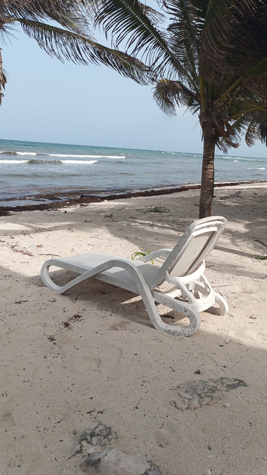Bamboo Beach Mahahual gallery 6