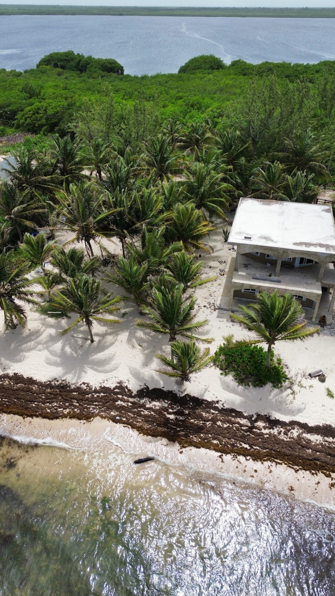 Bamboo Beach Mahahual gallery 7
