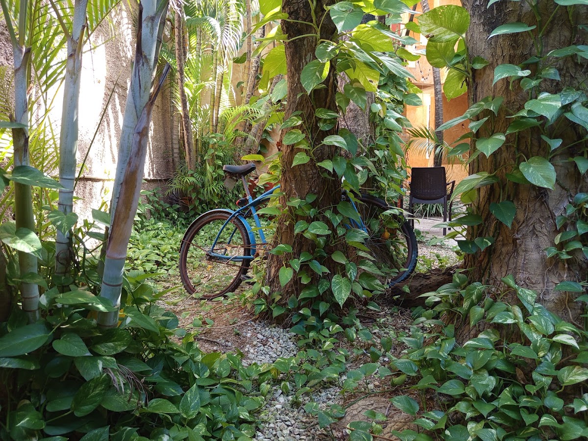 Barrio Latino Hotel Playa del Carmen Beach Area gallery 8