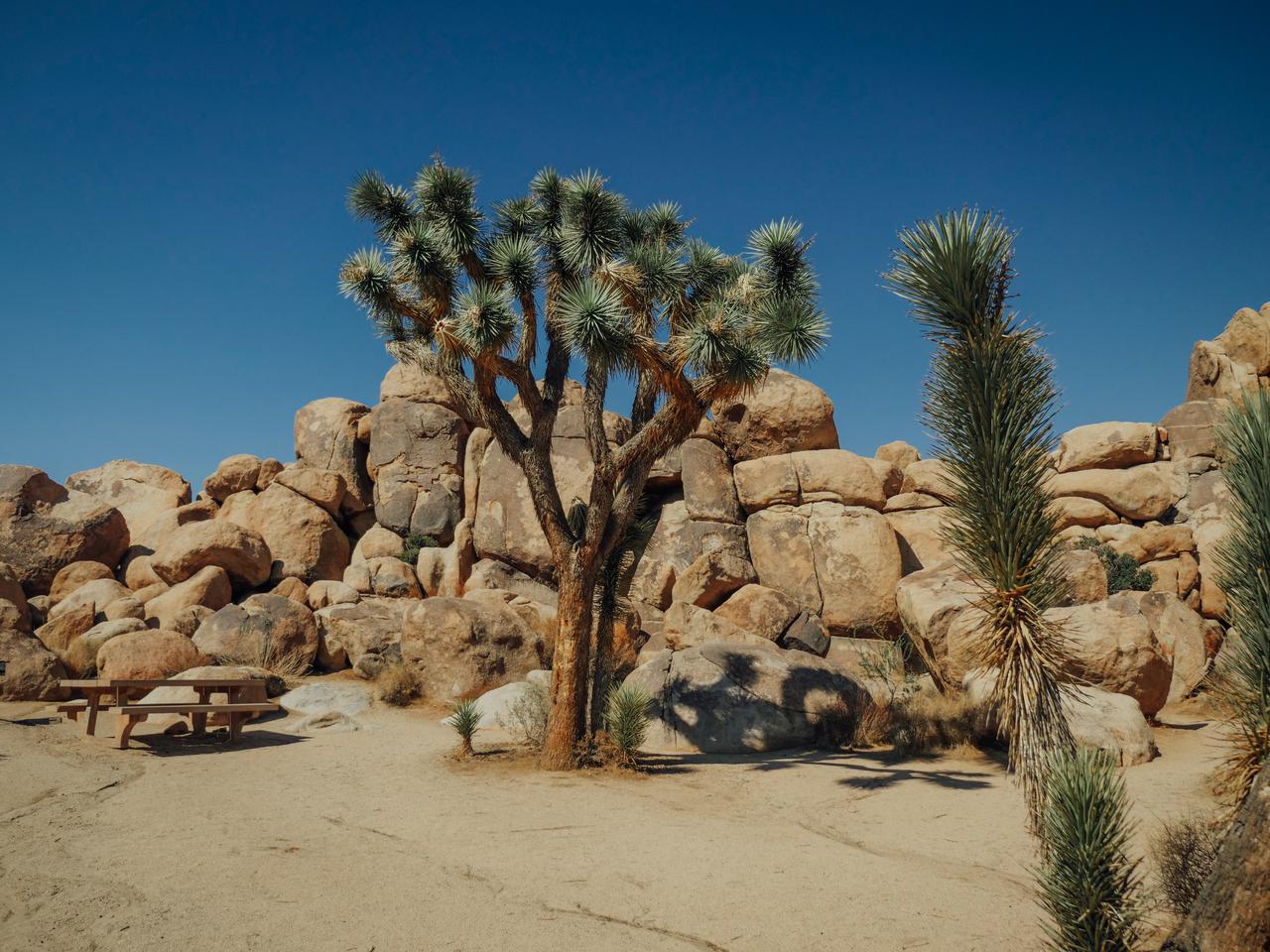The Sands RV & Golf Resort gallery 12