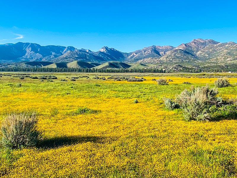 The Sands RV & Golf Resort gallery 14