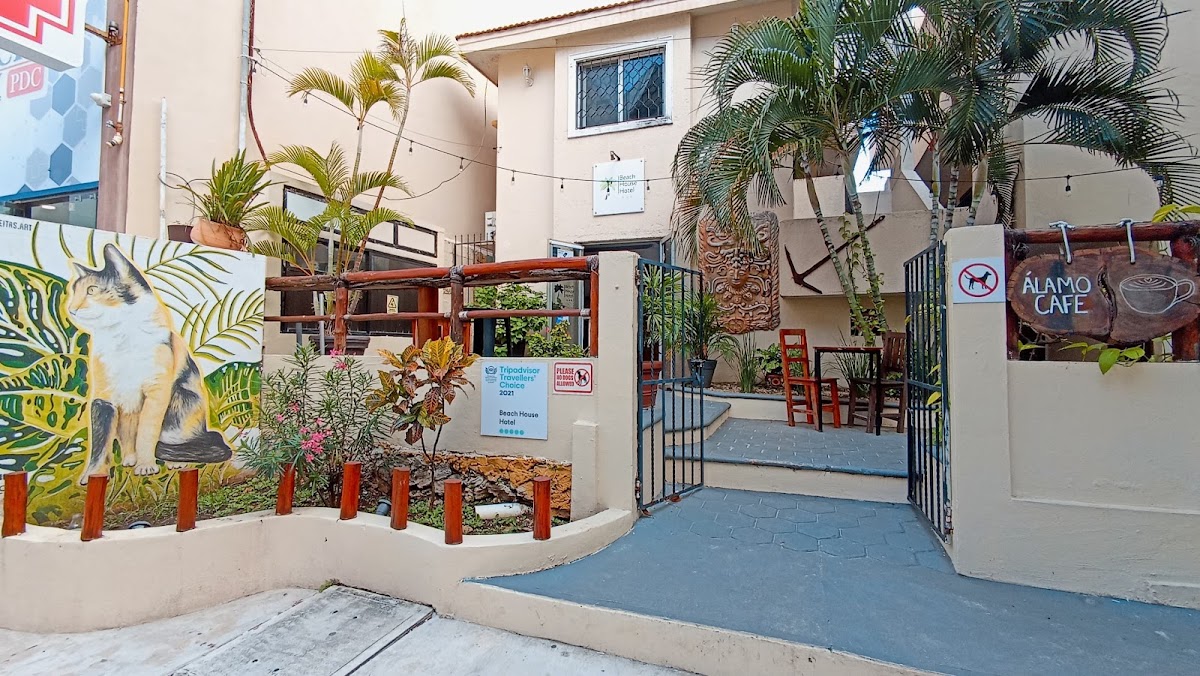 Beach House Hotel gallery 6