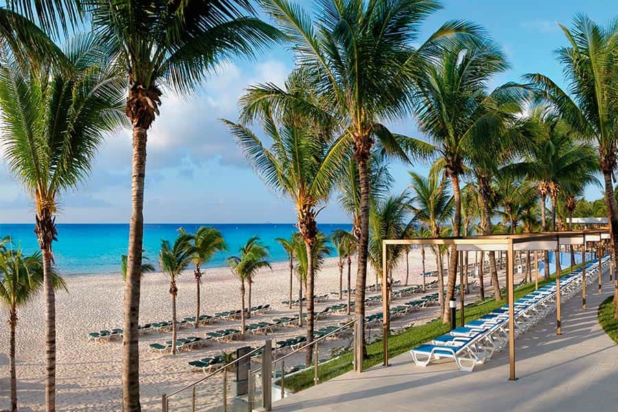 Hotel Riu Yucatan gallery 14