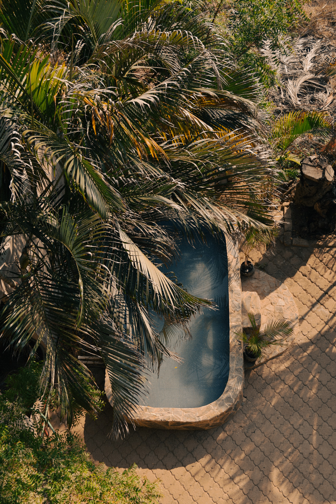 Beachfront Guesthouse gallery 10