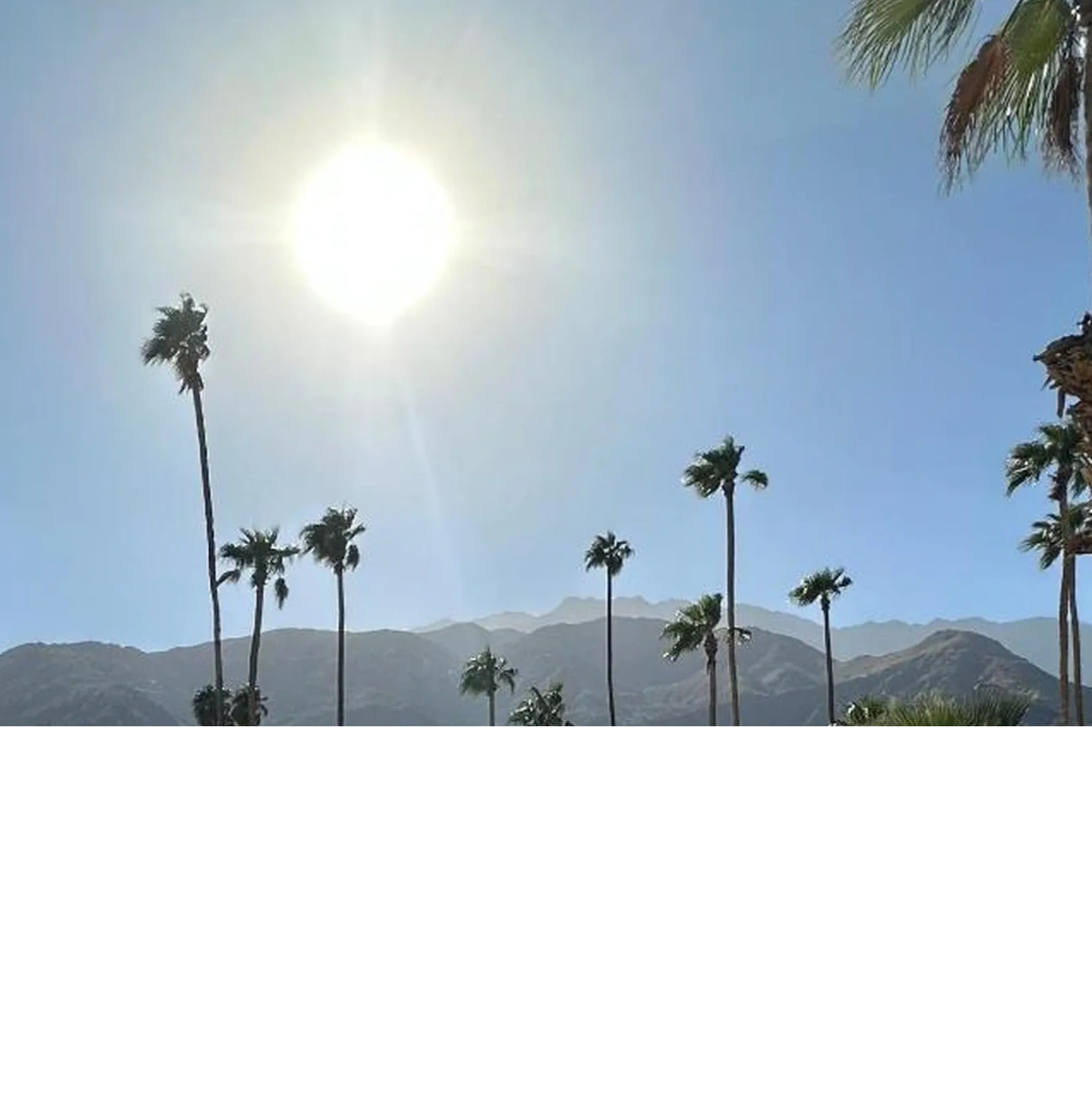 Jazz Hotel Palm Springs gallery 11