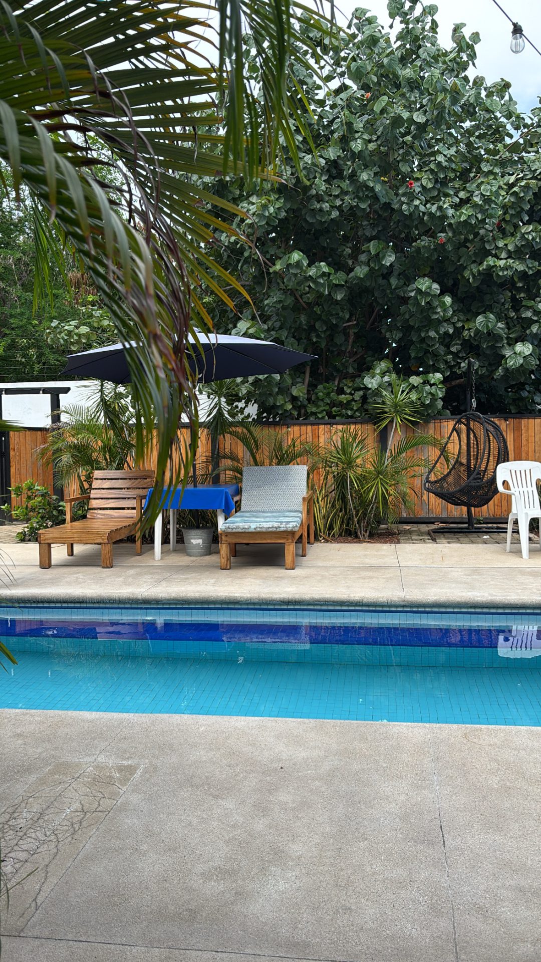 Blue Mango Boutique Hotel gallery 3