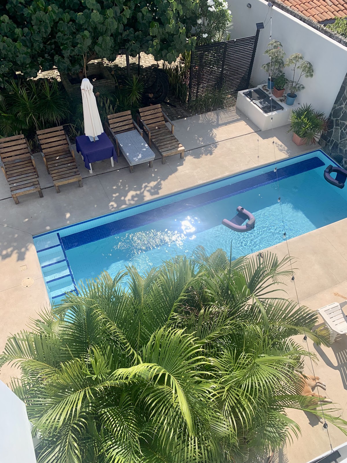 Blue Mango Boutique Hotel gallery 8