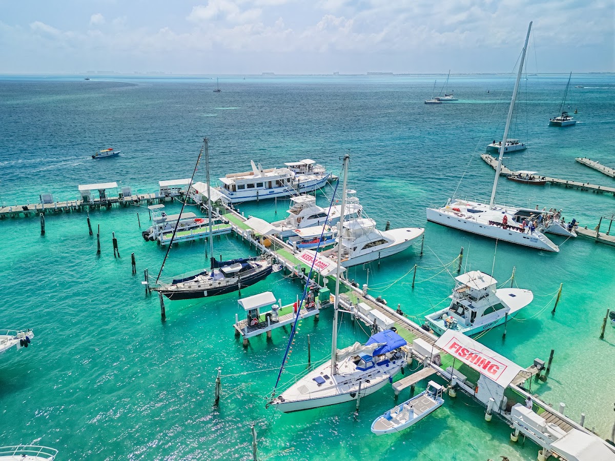 Boats Choice gallery 7