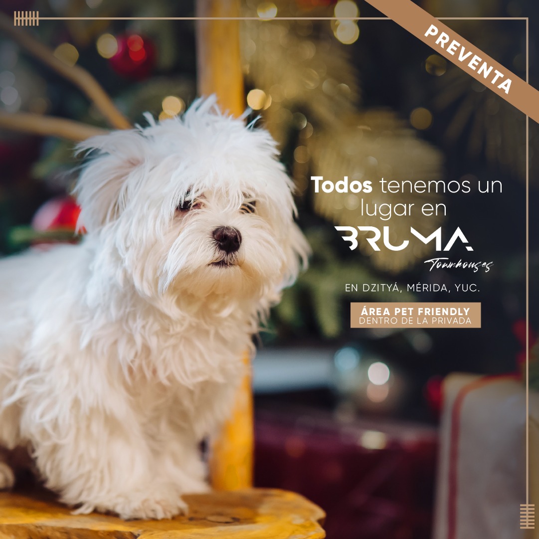 Bruma Townhouses gallery 4
