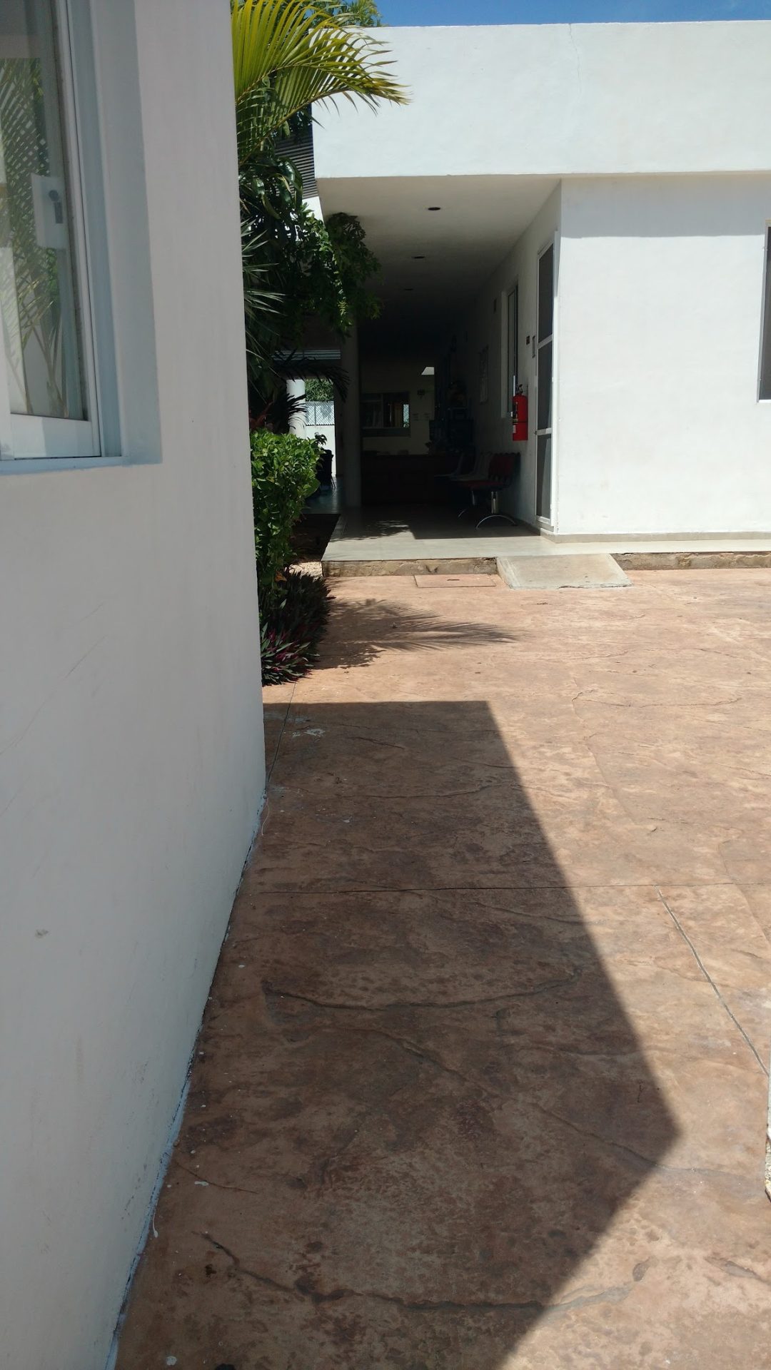 Buena Voluntad gallery 5