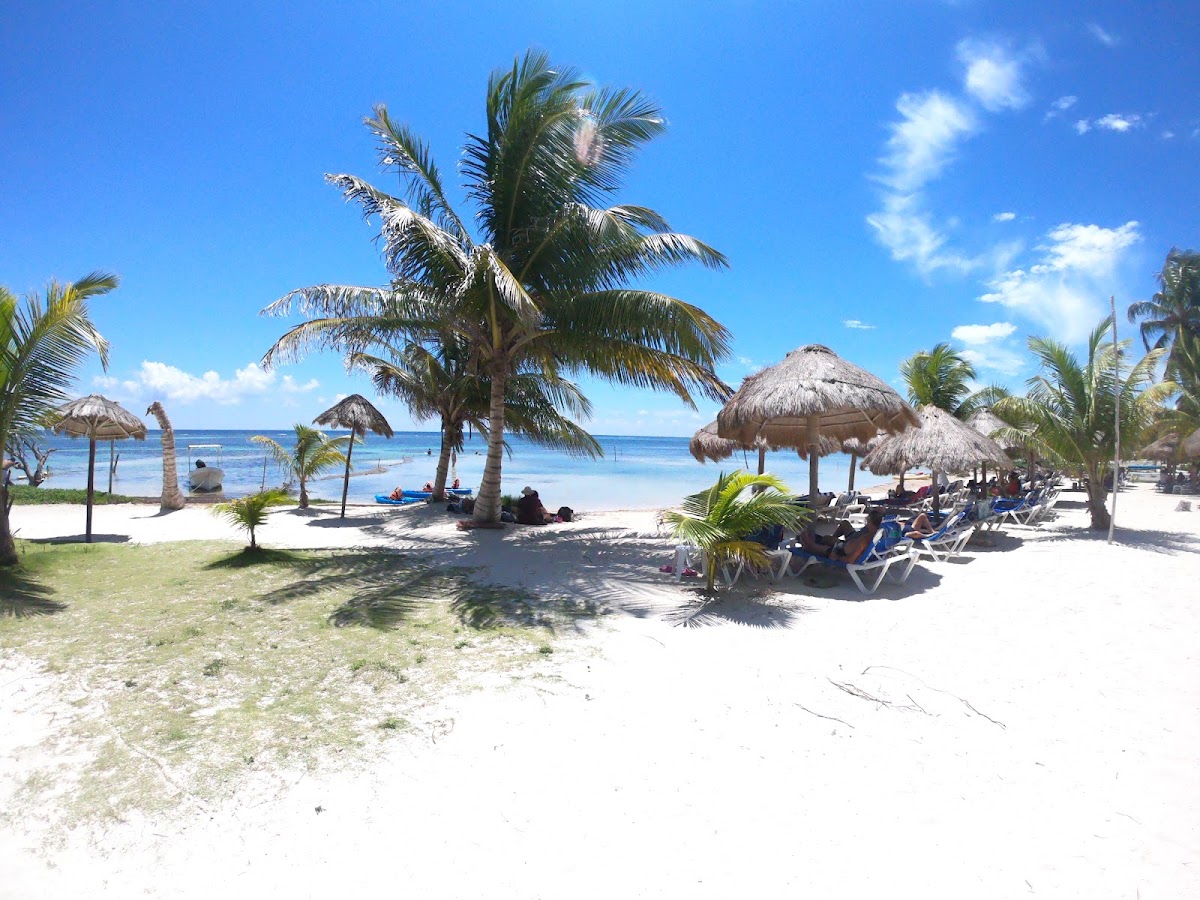 Cabañas Palmeras de Mahahual gallery 10