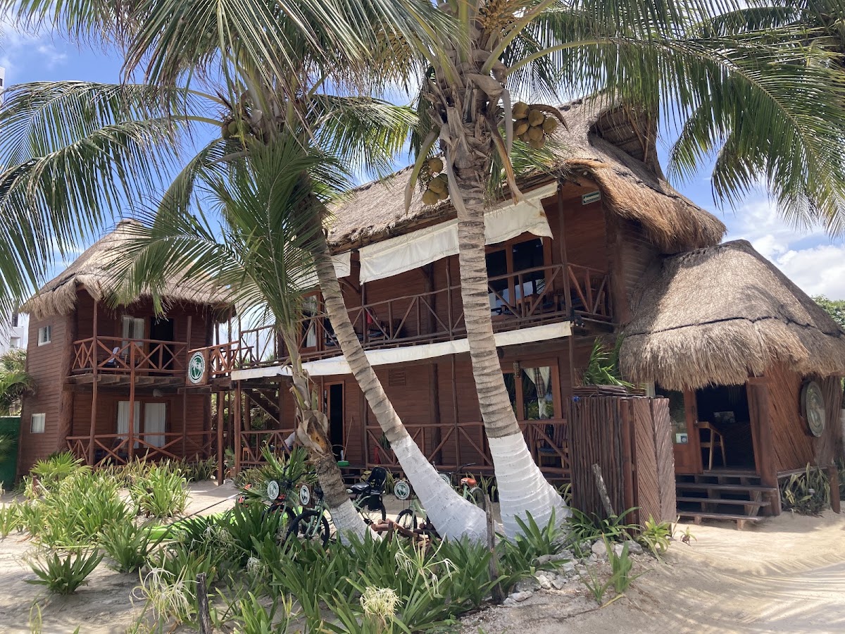 Cabañas Palmeras de Mahahual gallery 4