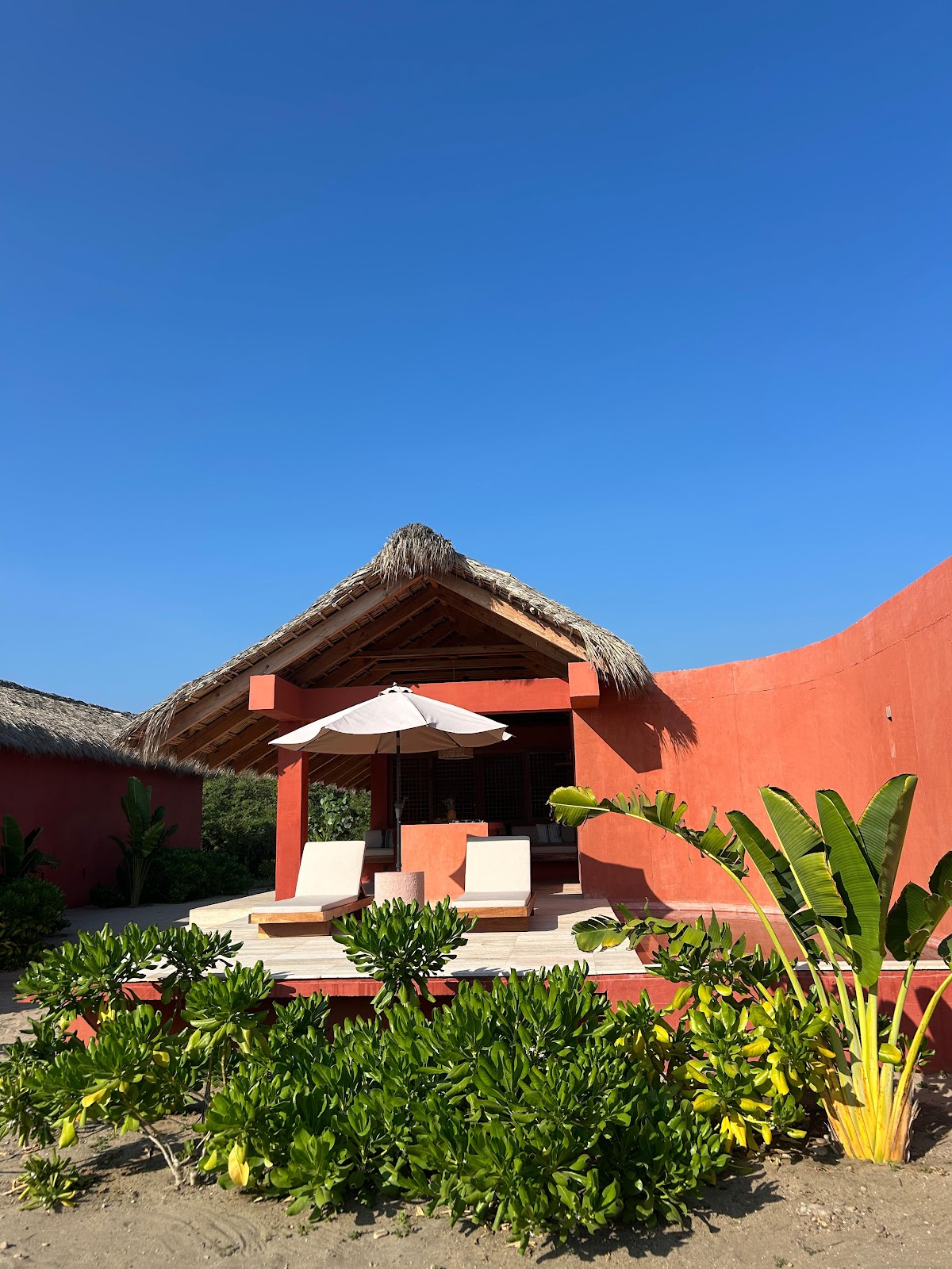 Caimán Puerto gallery 4