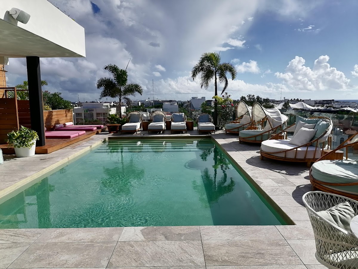 Calixta Hotel gallery 3