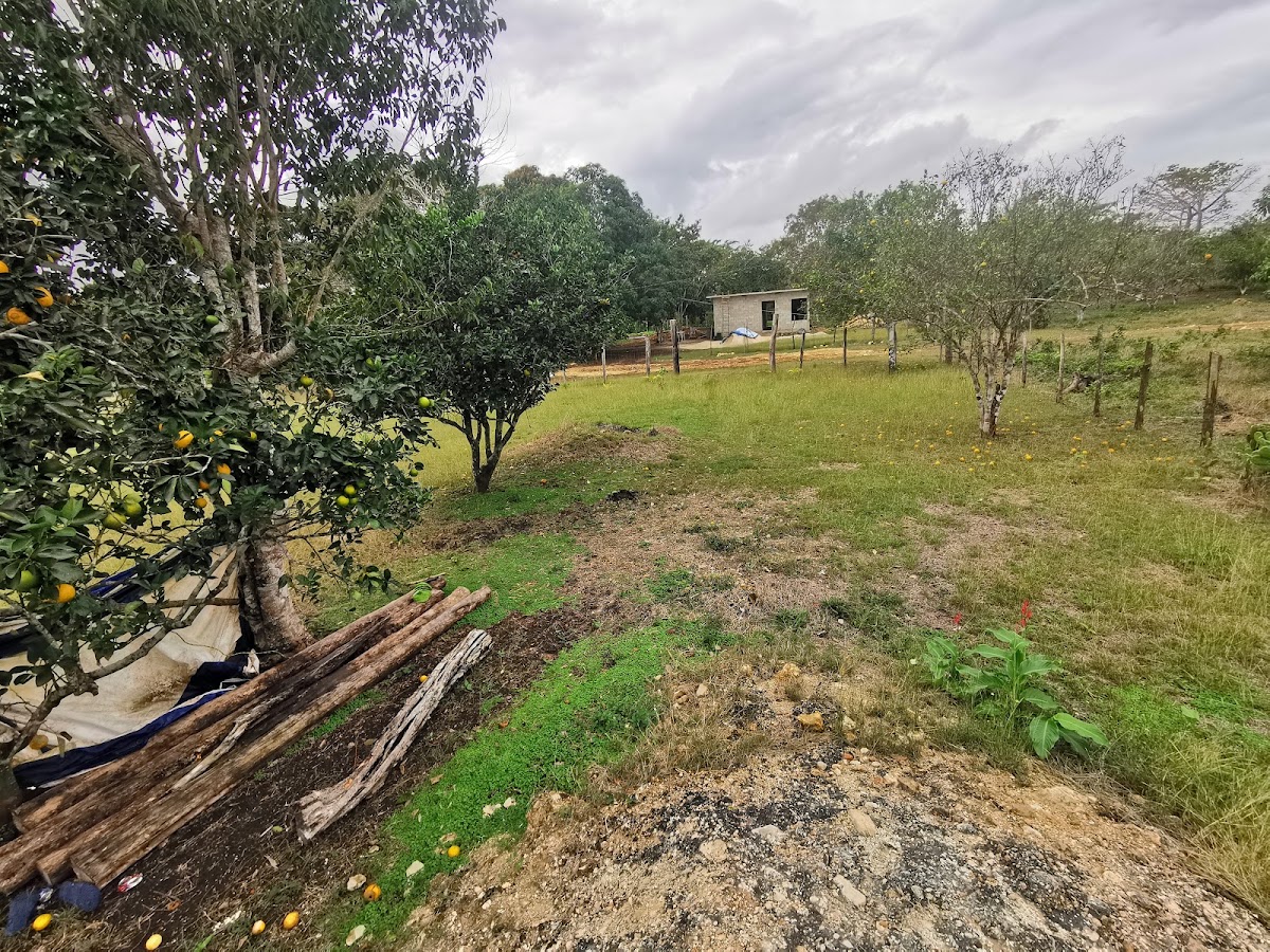 Camping El Viajero Feliz gallery 1