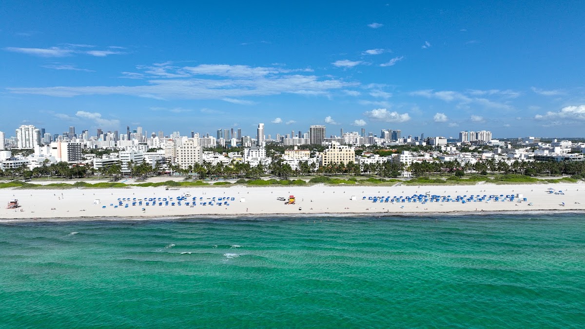 Cardozo South Beach gallery 5