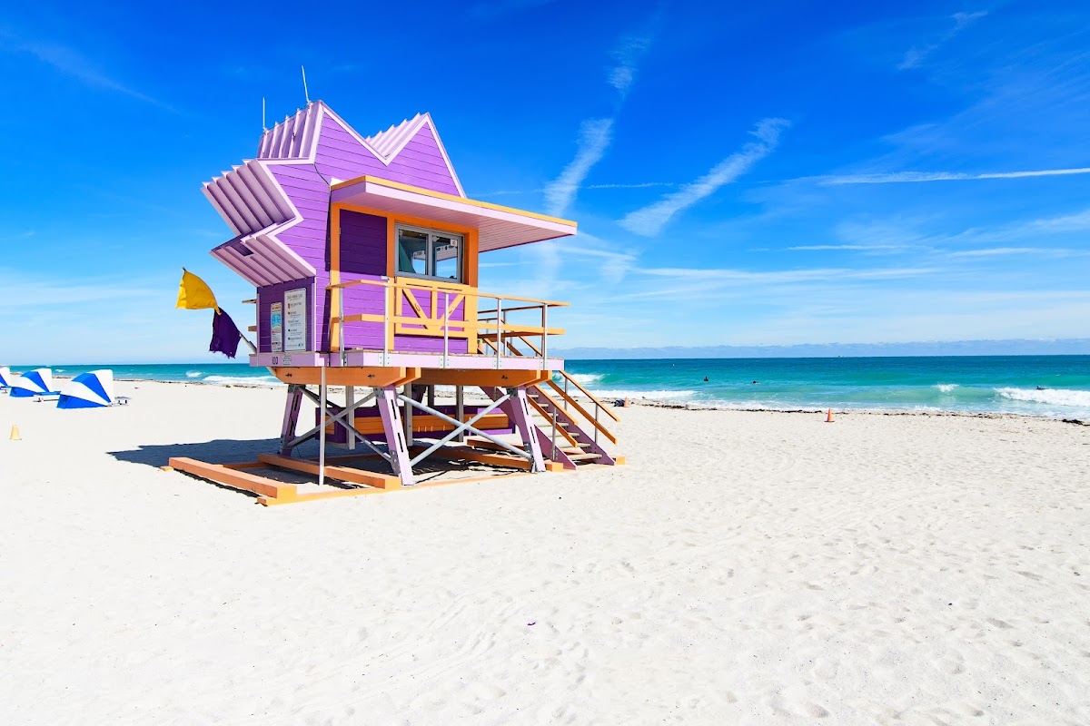 Cardozo South Beach gallery 8