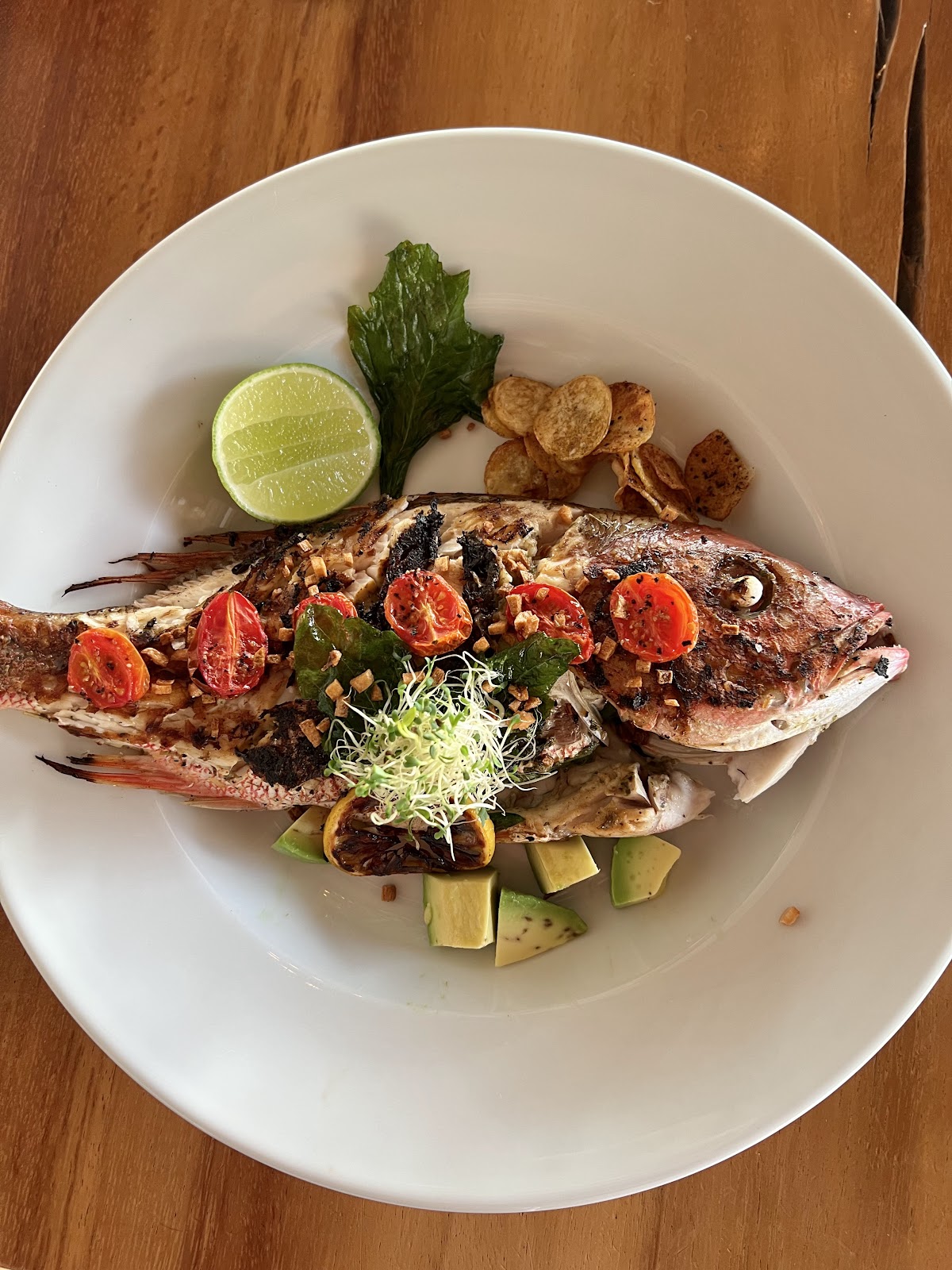 Casa Calibra: Boutique Wellness Villa gallery 9