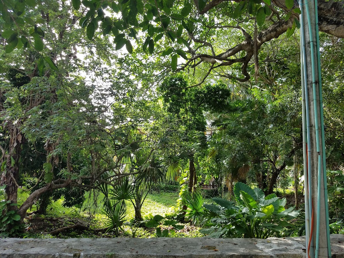Casa Cascada gallery 9