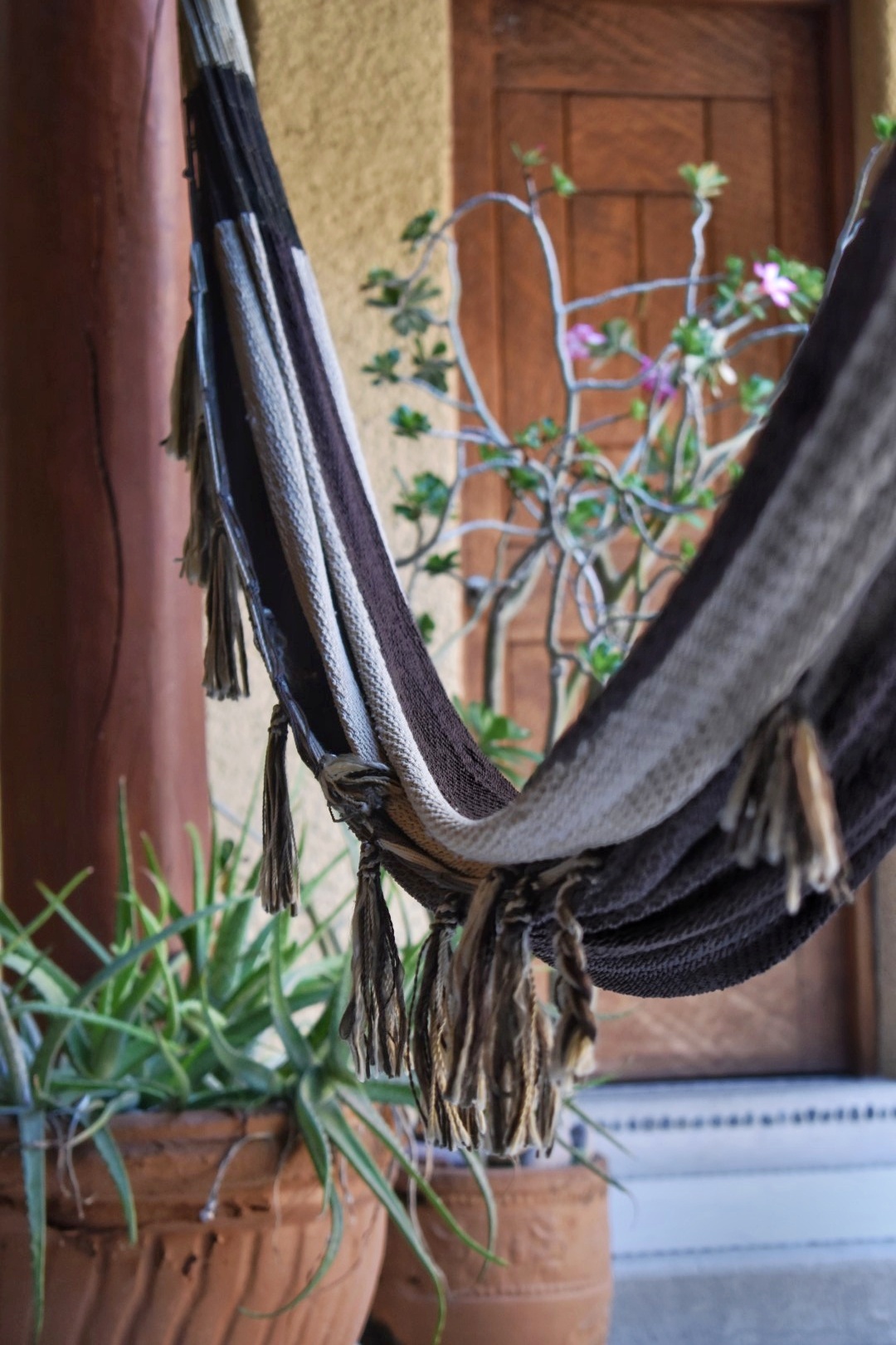 Casa Celeste Hotel gallery 6