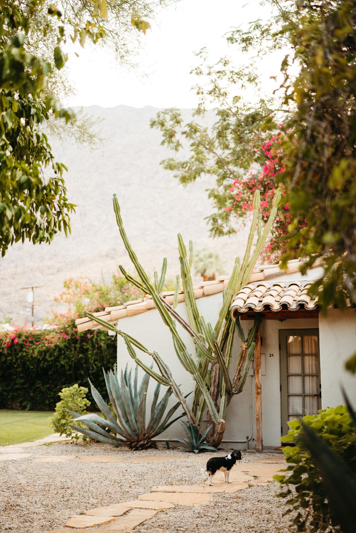 Casa Cody gallery 8