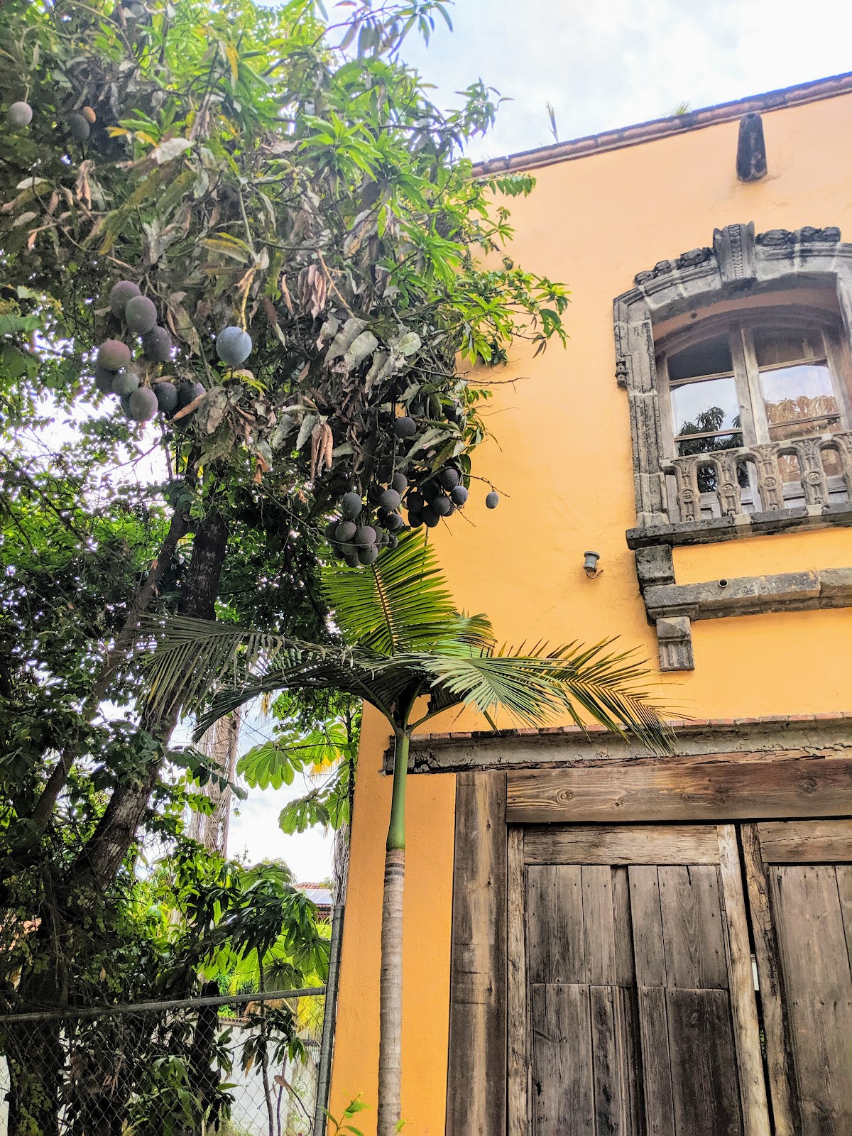 casa daniandra gallery 6