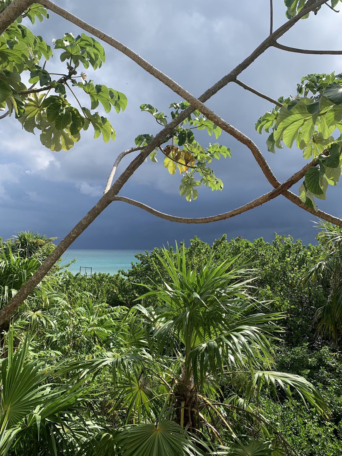 Casa de Buceo gallery 10