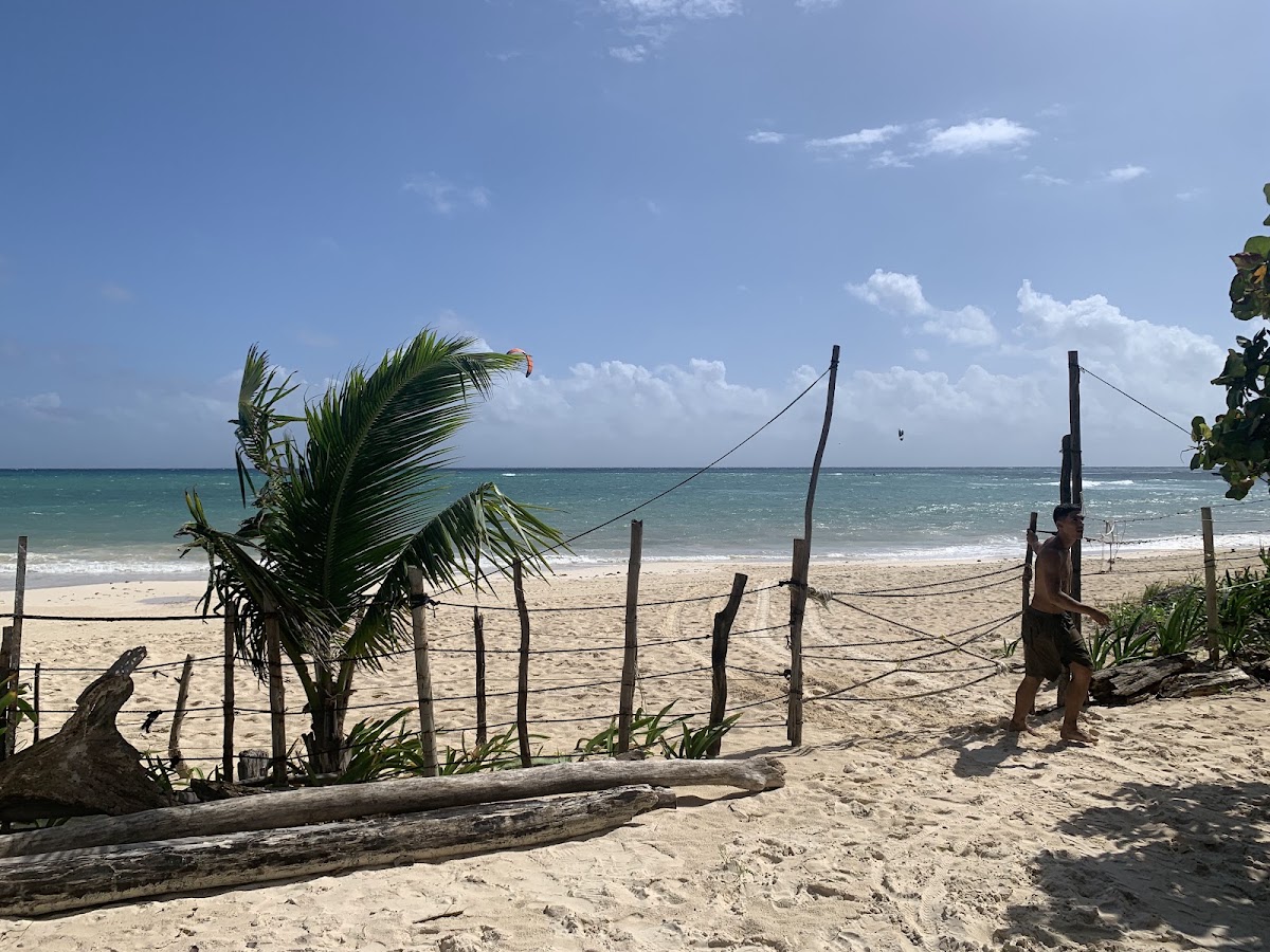 Casa de Buceo gallery 2