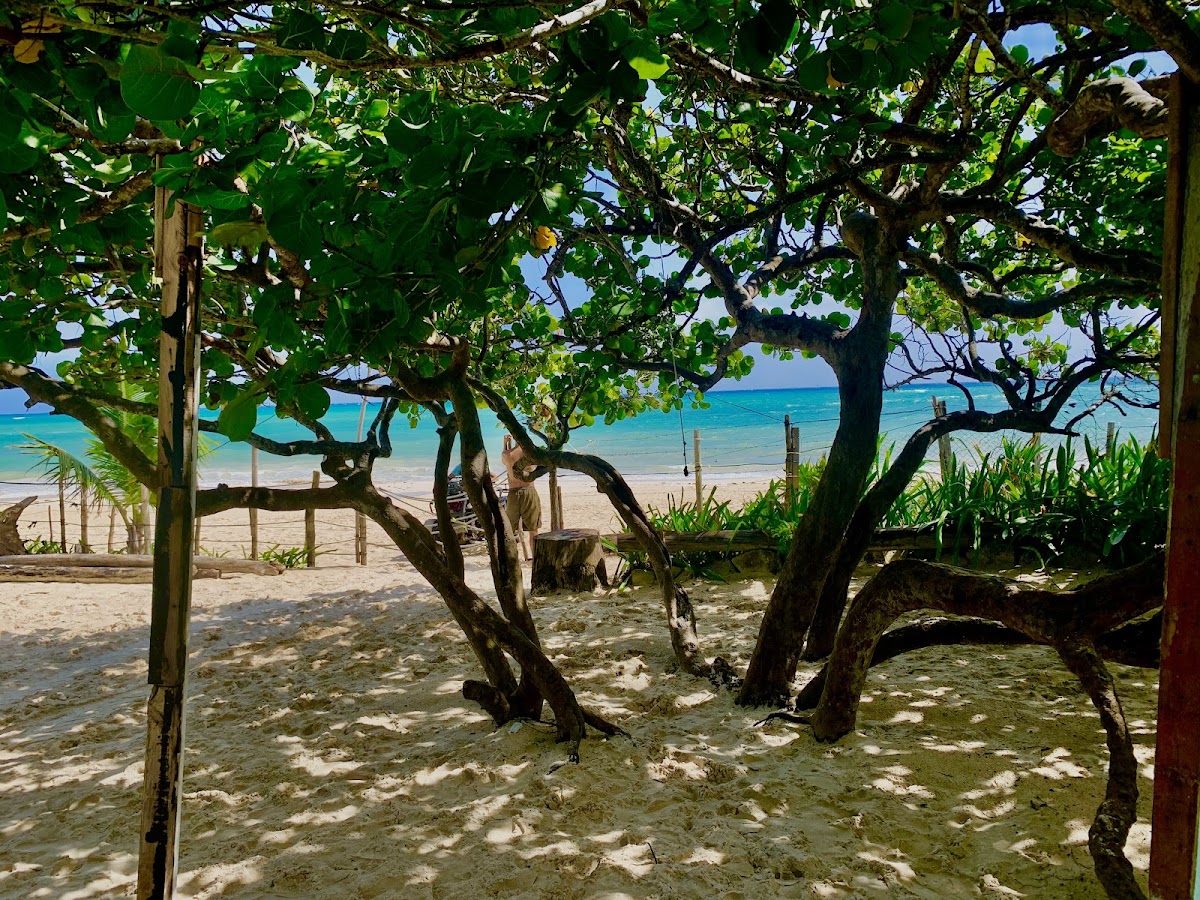 Casa de Buceo gallery 3