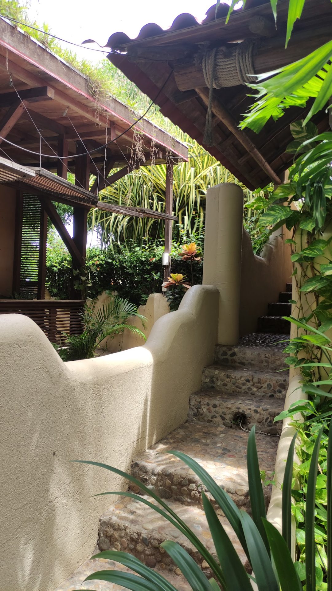 Casa de las Iguanas gallery 10