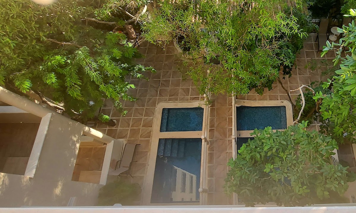 Casa del Árbol | Casas In Playa gallery 1