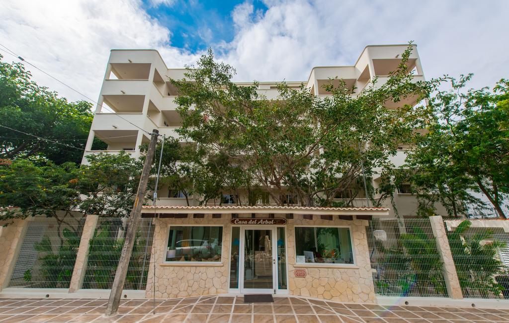 Casa del Árbol | Casas In Playa gallery 8