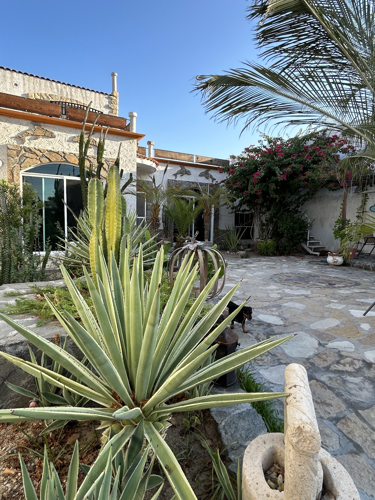 Casa Delfín La Paz BCS gallery 1