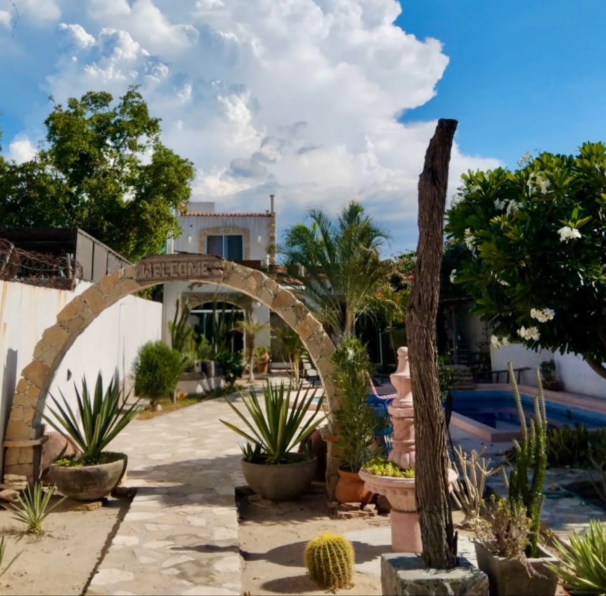 Casa Delfín La Paz BCS gallery 4