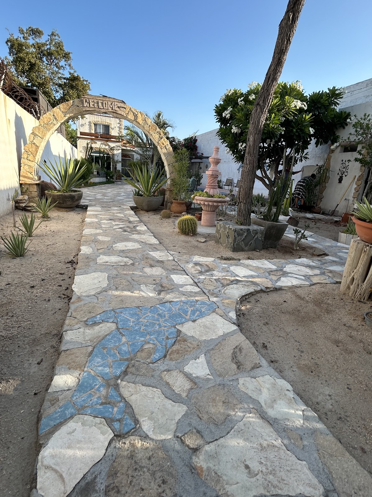 Casa Delfín La Paz BCS gallery 7