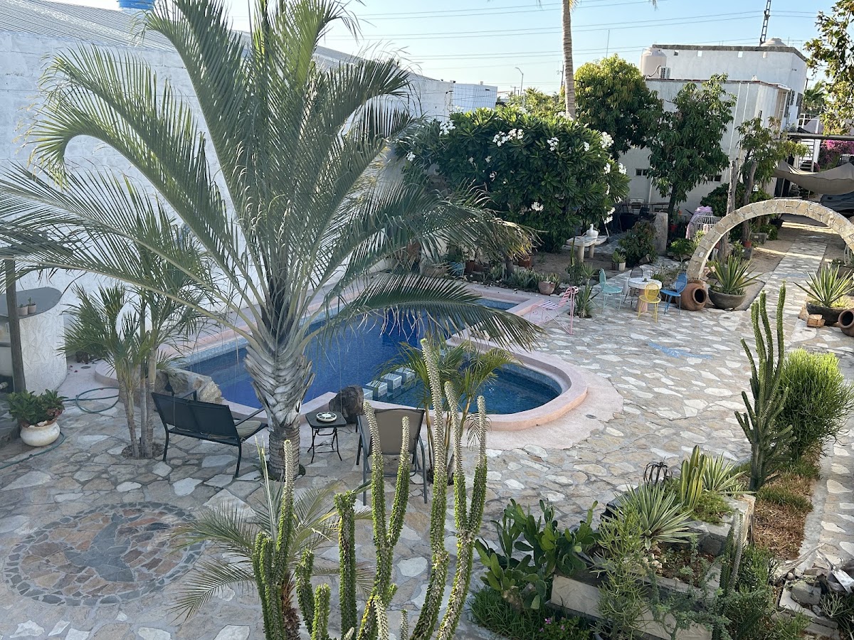 Casa Delfín La Paz BCS gallery 8