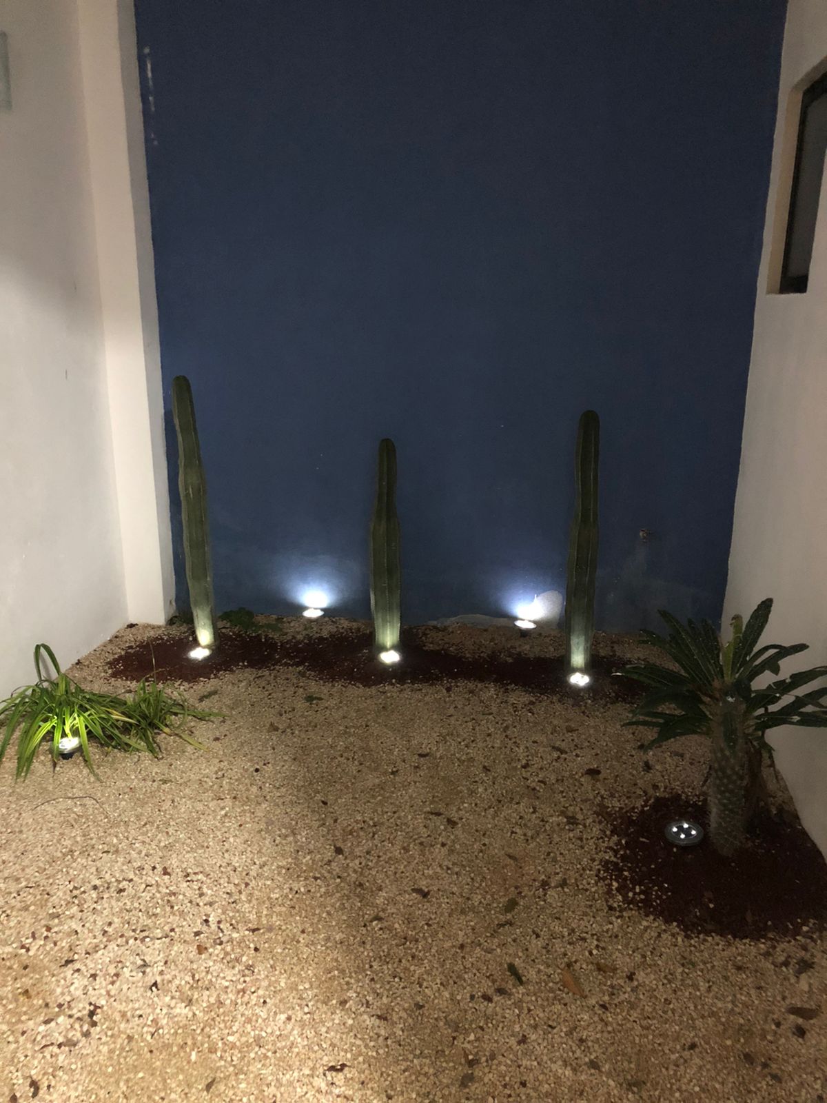 Casa Infante Merida gallery 7