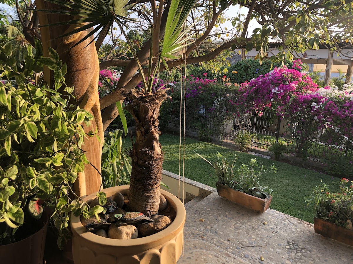 Casa Jacarandas Playa Zicatela gallery 9