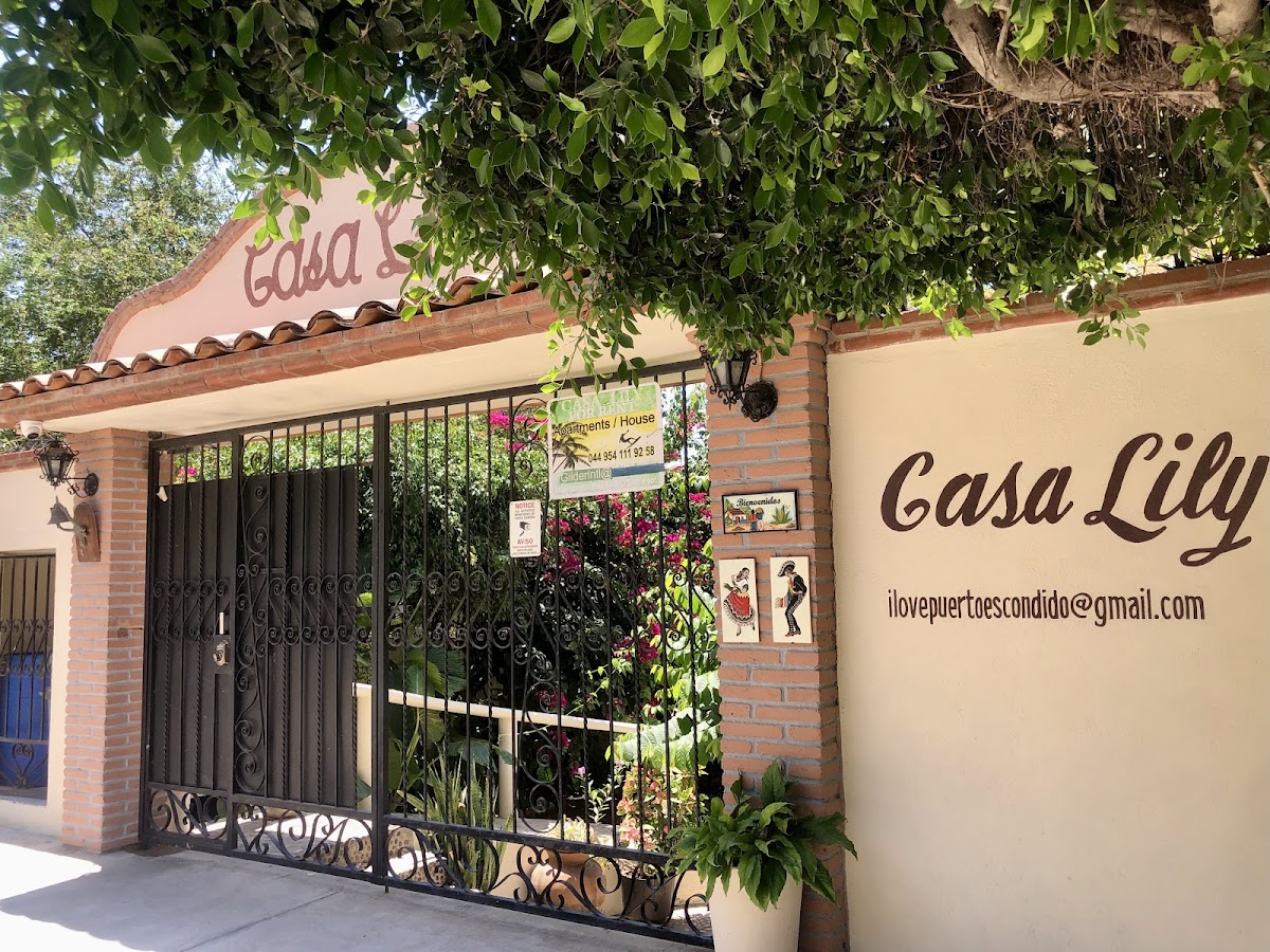Casa Lily - Playa Zicatela, Puerto Escondido gallery 4