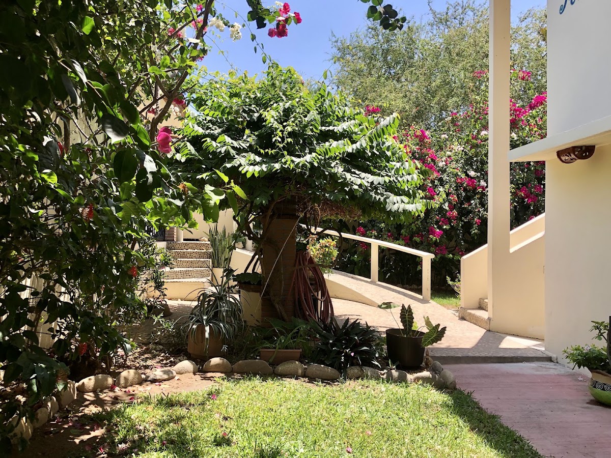 Casa Lily - Playa Zicatela, Puerto Escondido gallery 6