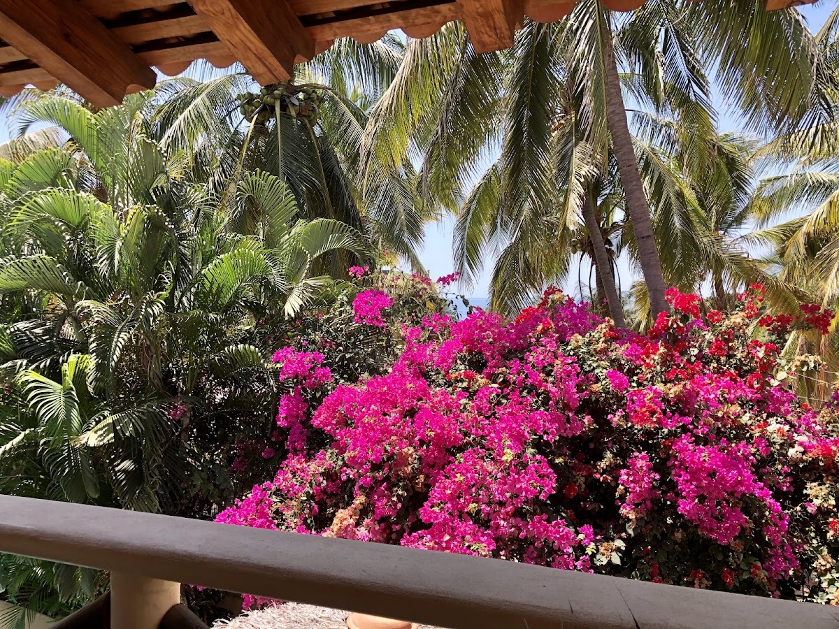 Casa Lily - Playa Zicatela, Puerto Escondido gallery 9