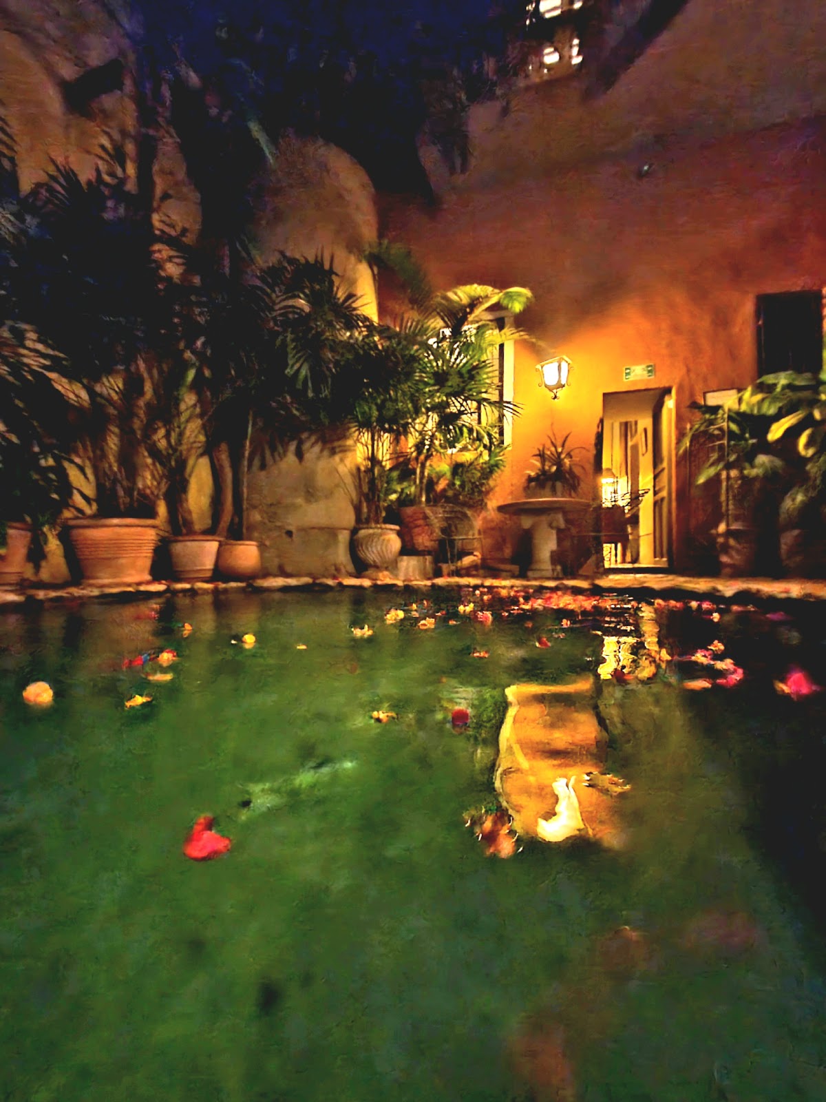 Casa Mexilio gallery 8