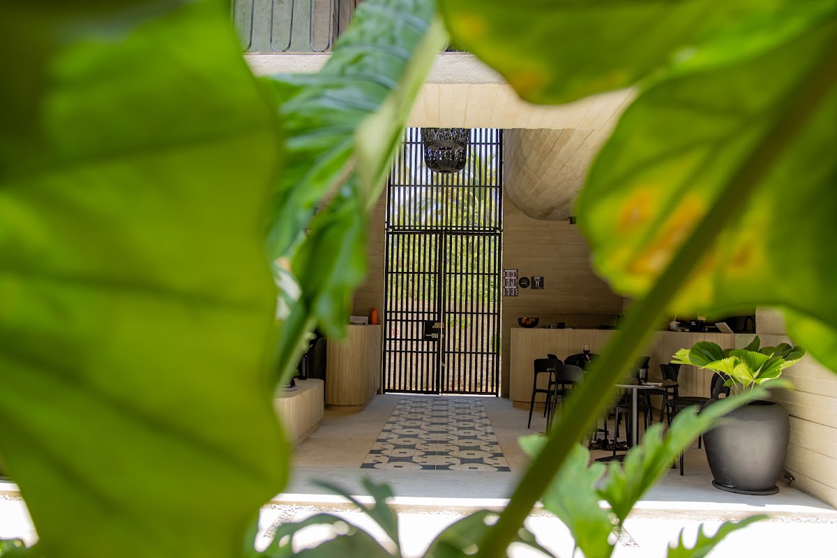 Casa Nando gallery 8