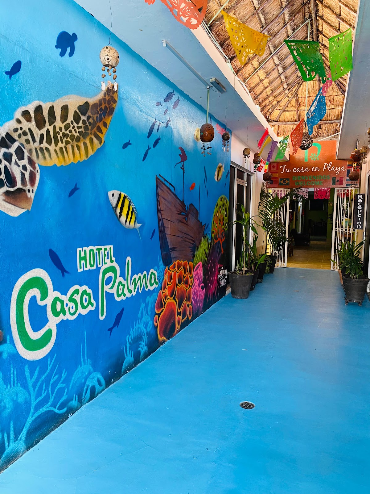Casa Palma Hotel gallery 3