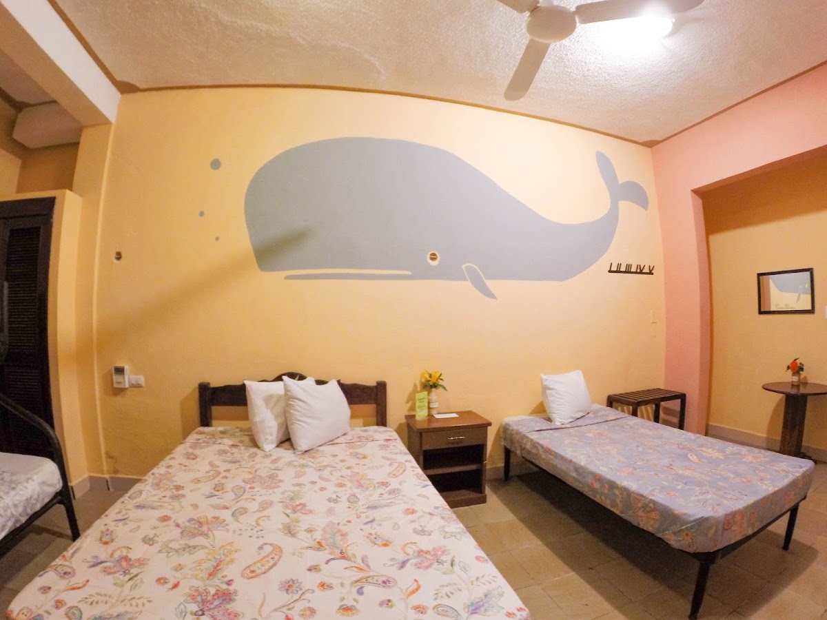 Casa Palma Hotel gallery 7