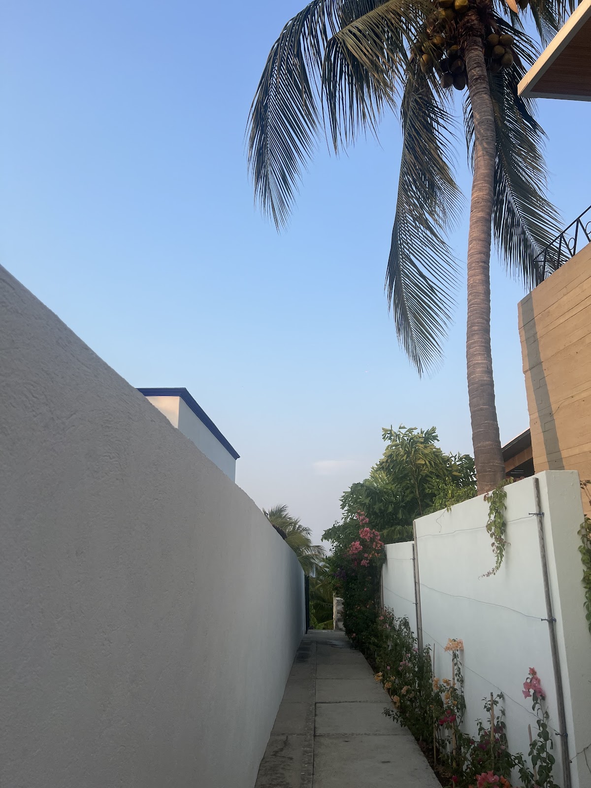 Casa Pelicano gallery 1
