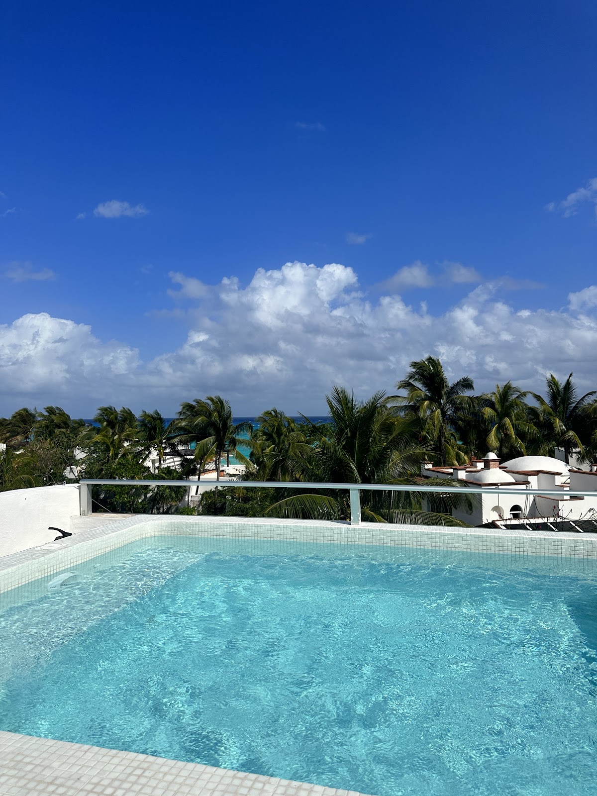 Casa Pescada Vacation Rental Beach Villa gallery 3