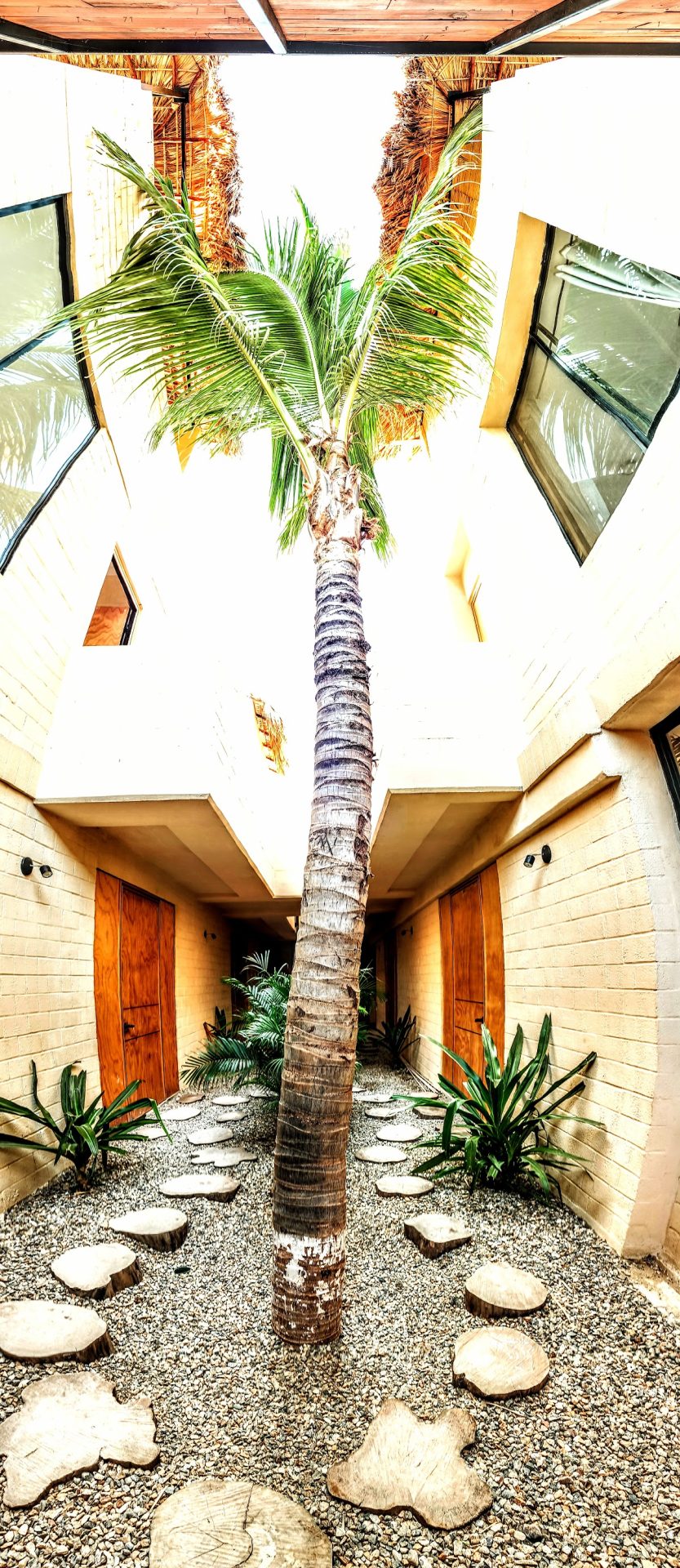 Casa Pichi y Mayo Airbnb gallery 2