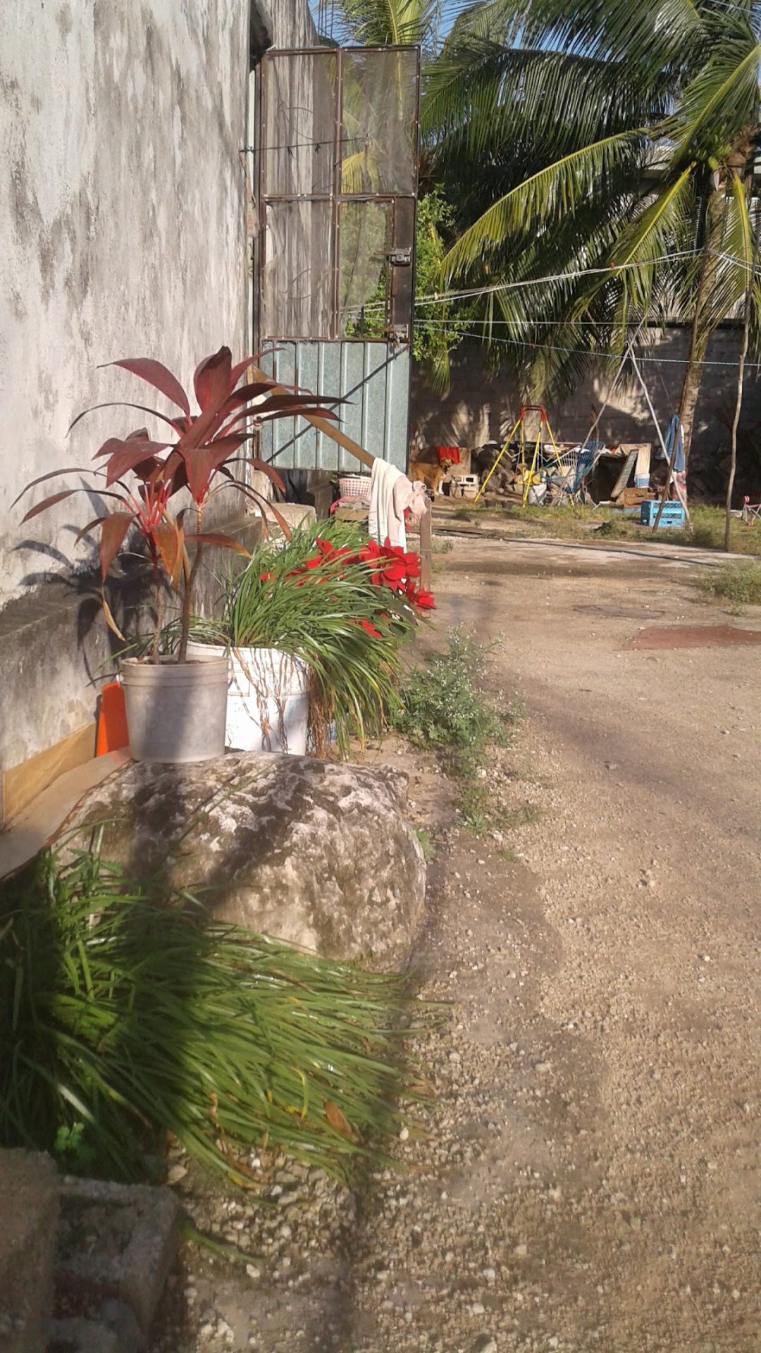 Casa Playa gallery 2