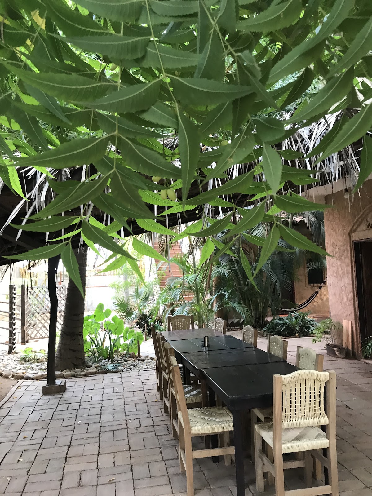 Casa Punta Bamboo gallery 3